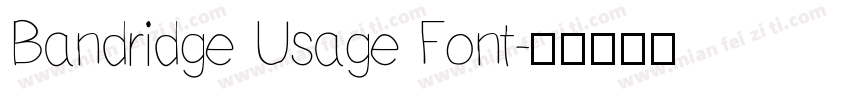 Bandridge Usage Font字体转换